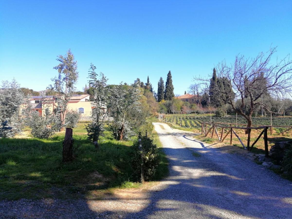 Nonna Litta Villa Albenga Dış mekan fotoğraf